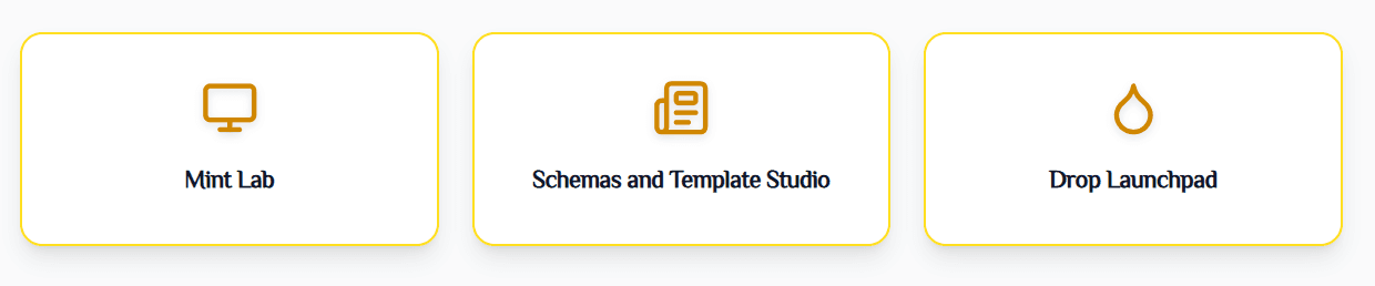 Schema and Template section in collection dashboard